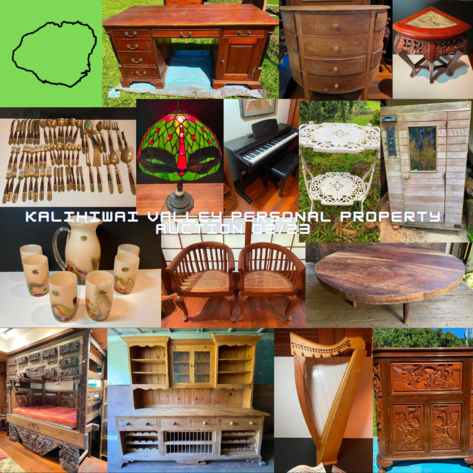 Image for Estate of internationally famous author Anne Willson Schaef - Kalihiwai Valley (Kaua’i) Part 1