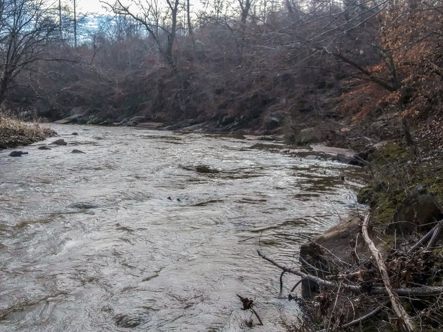 Image for REAL ESTATE AUCTION: 12± Acres, River Road, Amherst, VA