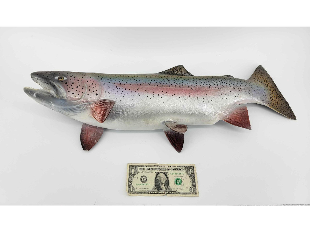 Image for February 2021 Curiosities Auction