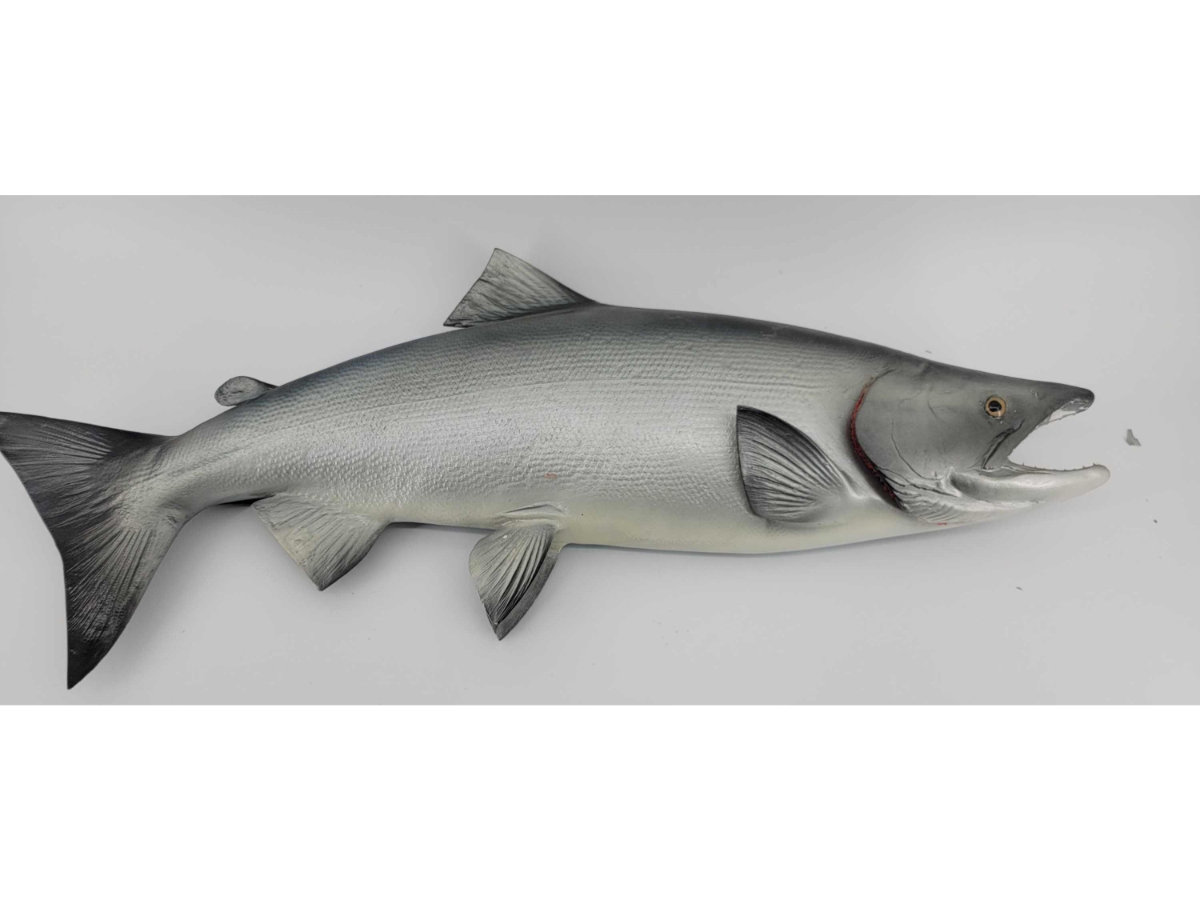 Image for February 2021 Curiosities Auction