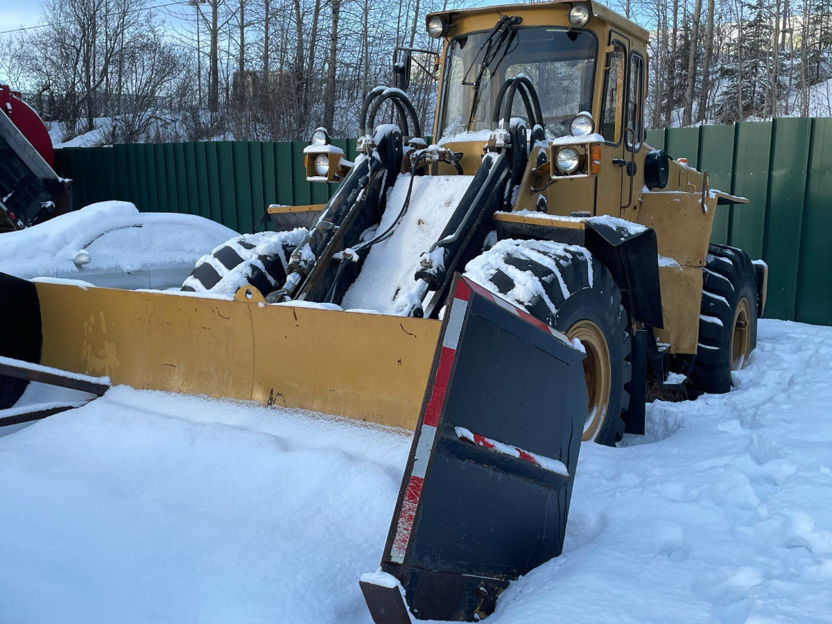 Image for February 2021 Curiosities Auction