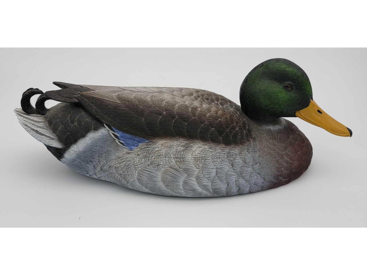 Image for February 2021 Curiosities Auction