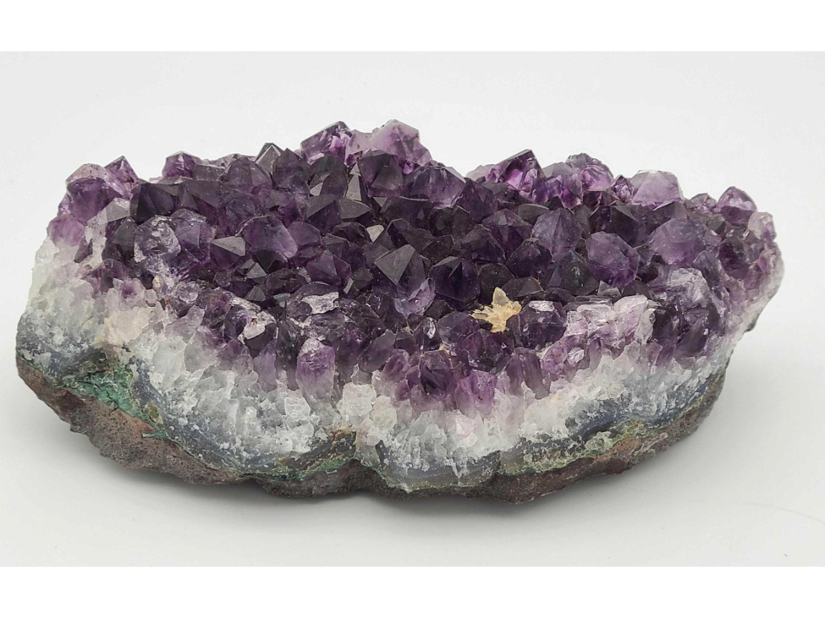 Image for February 2021 Curiosities Auction