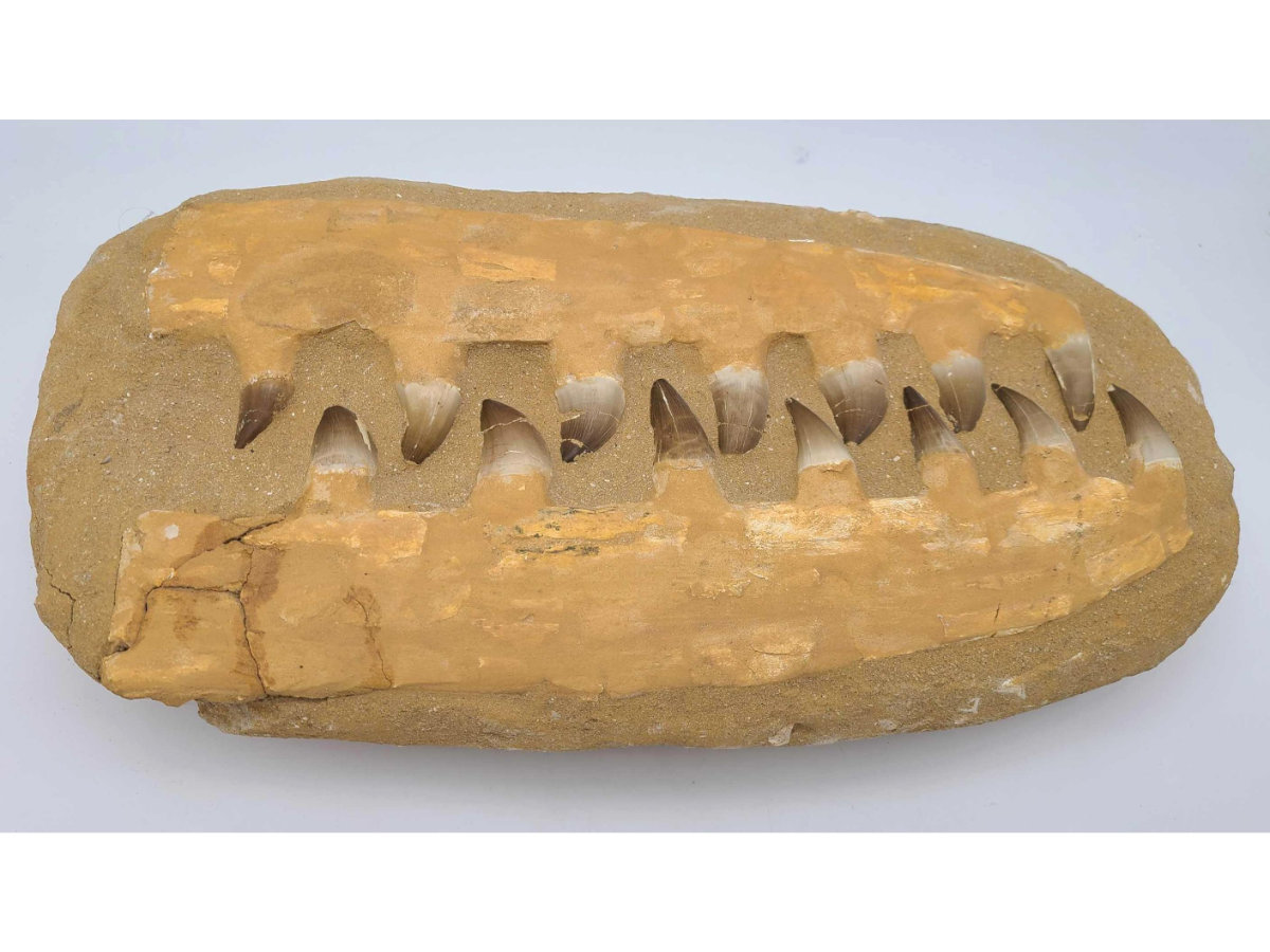 Image for February 2021 Curiosities Auction