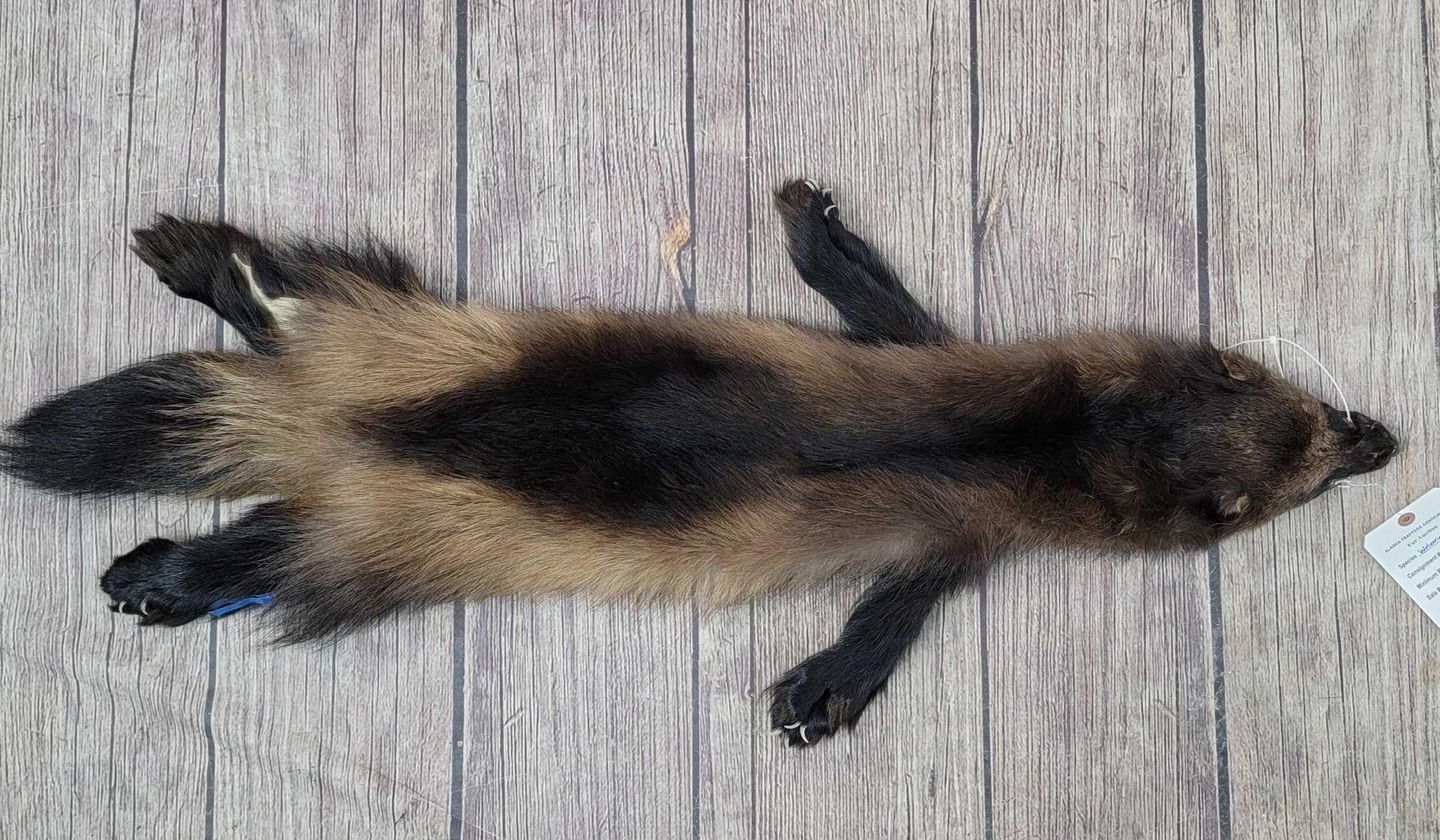 Image for 2021 Fur Rondy Online Fur Auction Week 1