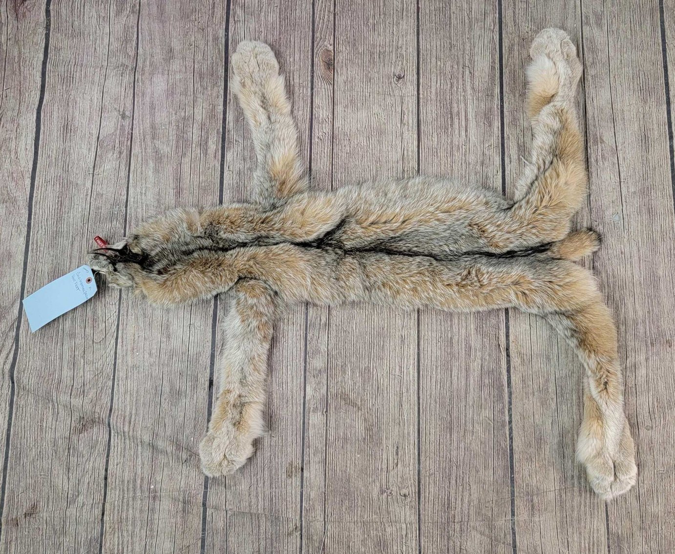 Image for 2021 Fur Rondy Online Fur Auction Week 1