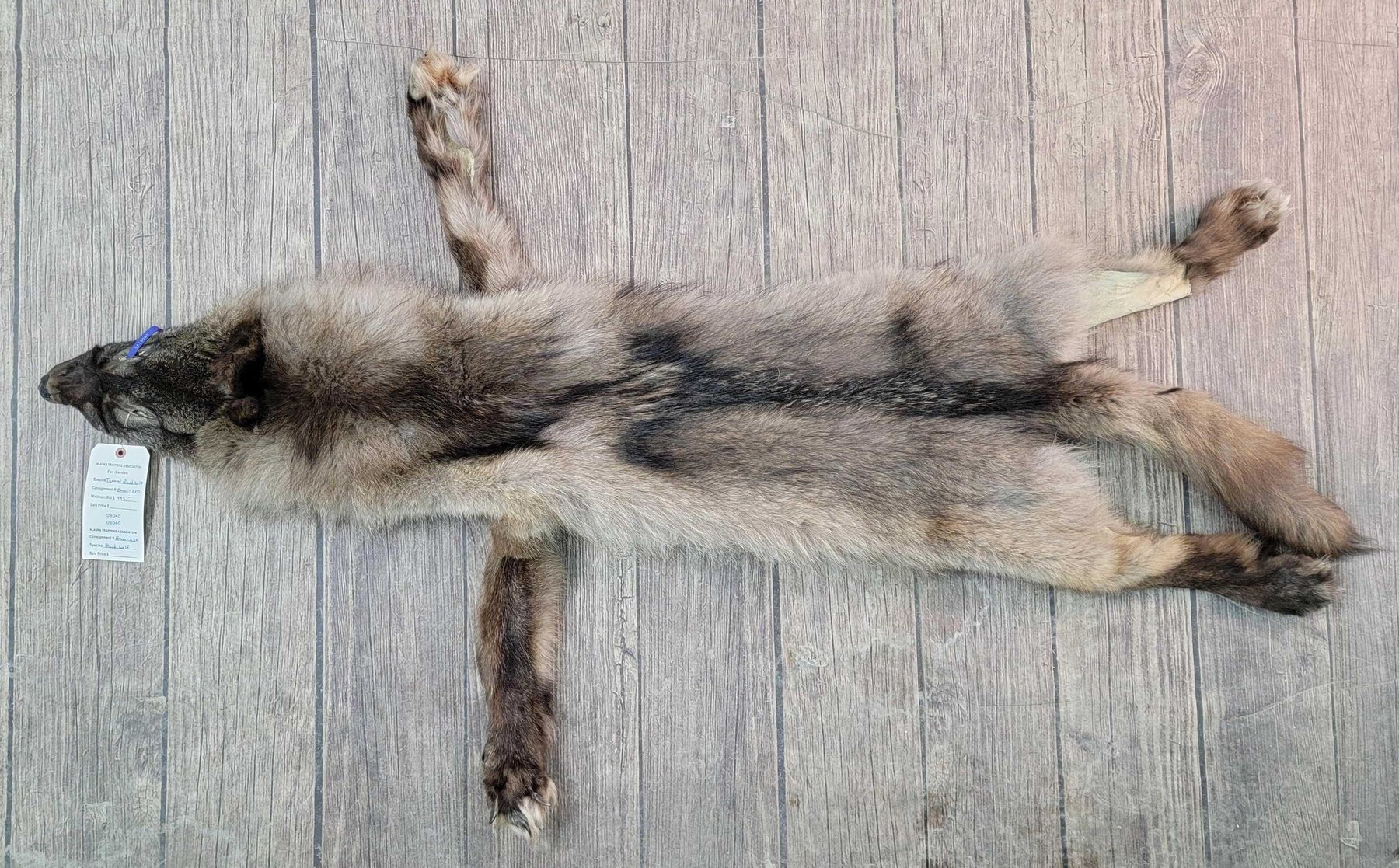 Image for 2021 Fur Rondy Online Fur Auction Week 1