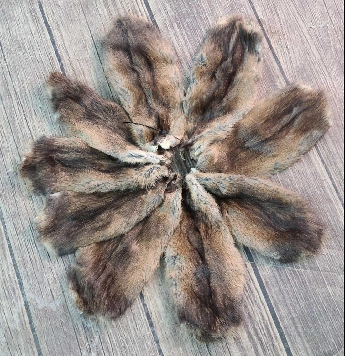 Image for 2021 Fur Rondy Online Fur Auction Week 1