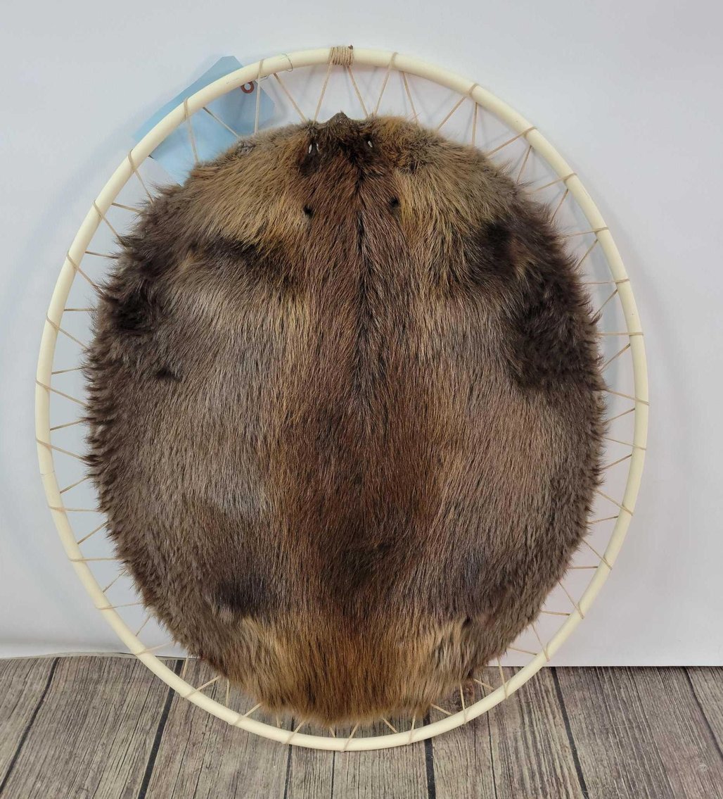 Image for 2021 Fur Rondy Online Fur Auction Week 1