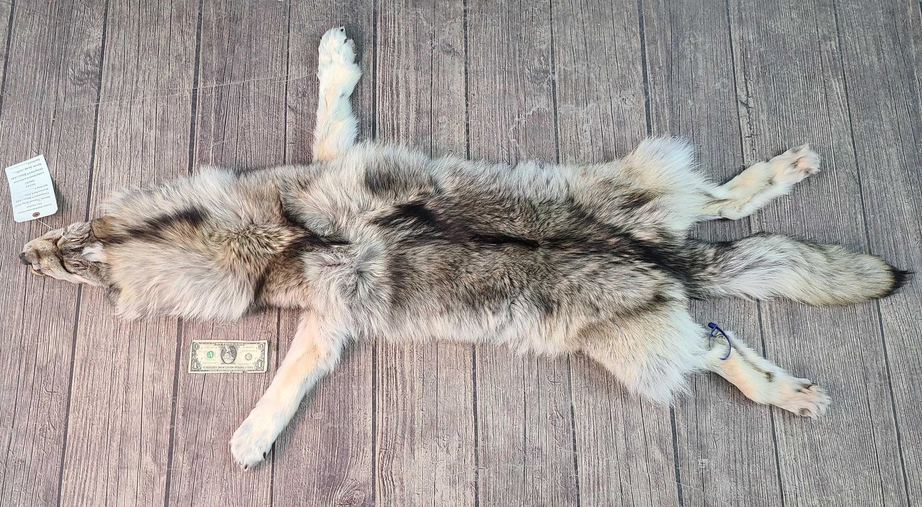 Image for 2021 Fur Rondy Online Fur Auction Week 1