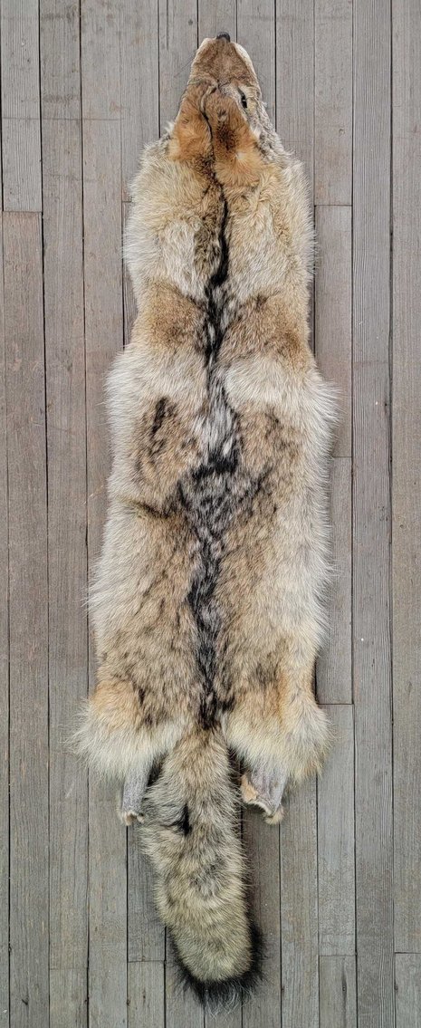 Image for 2021 Fur Rondy Online Fur Auction Week 1