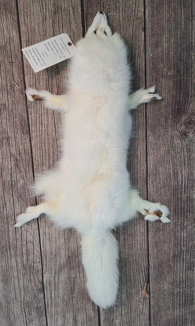 Image for 2021 Fur Rondy Online Fur Auction Week 1