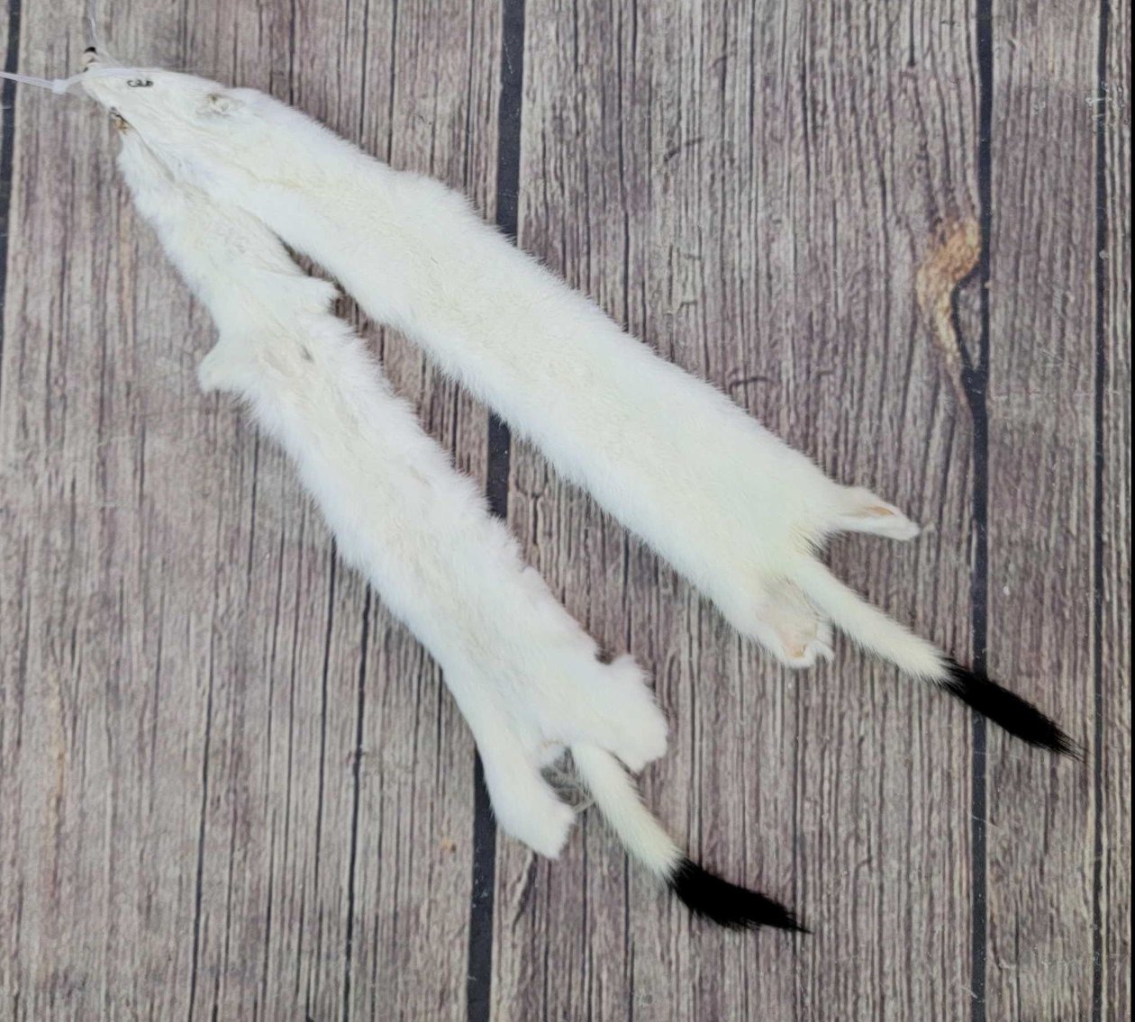 Image for 2021 Fur Rondy Online Fur Auction Week 1