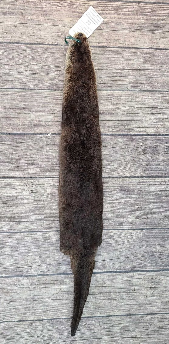 Image for 2021 Fur Rondy Online Fur Auction Week 1