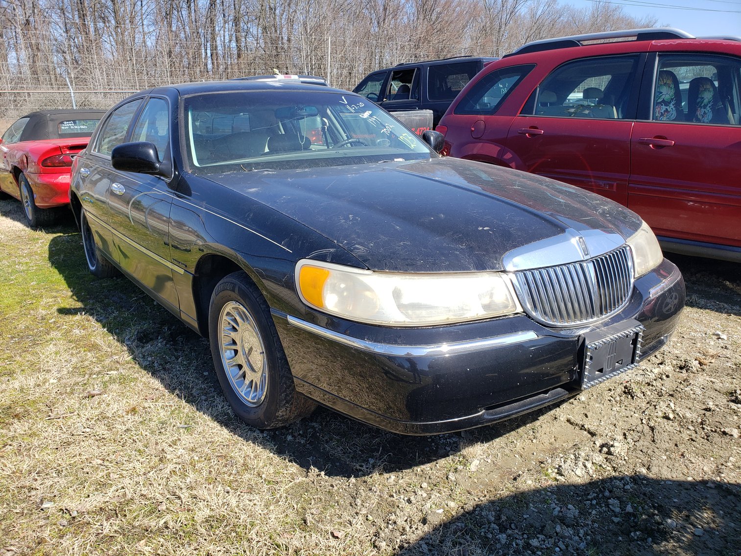 Image for Impounds for City of Greensboro