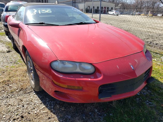 Image for Impounds for City of Greensboro