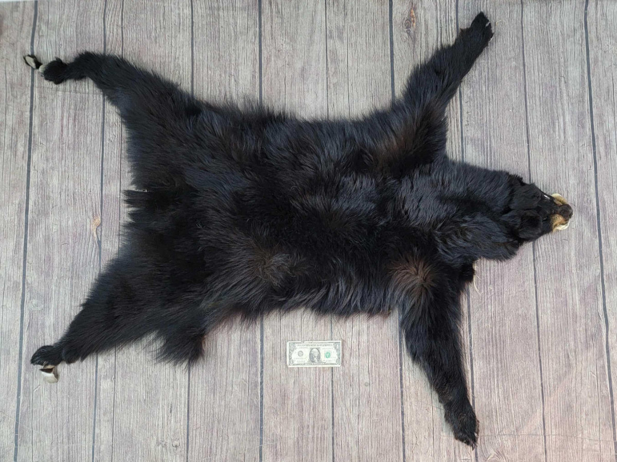 Image for 2021 Fur Rondy Online Fur Auction Week 2