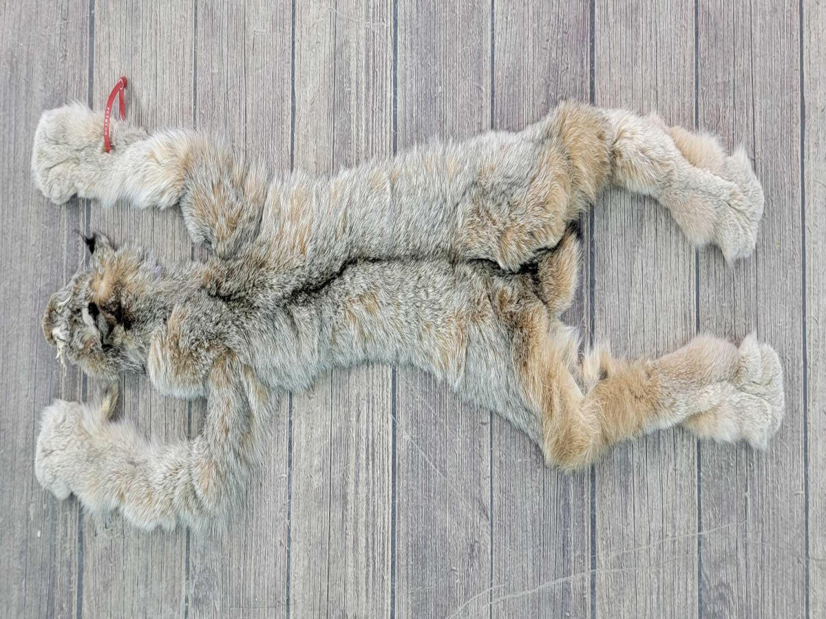 Image for 2021 Fur Rondy Online Fur Auction Week 2