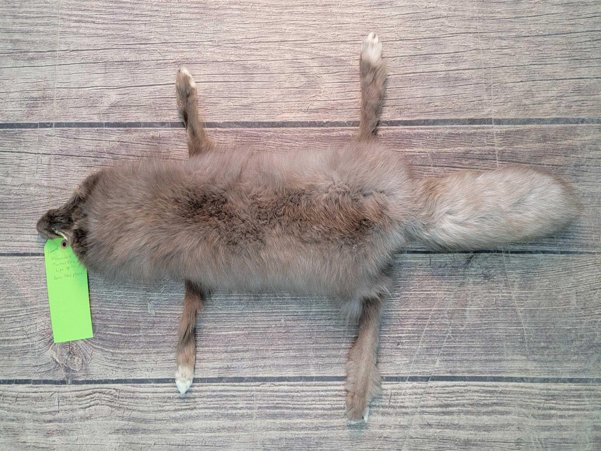 Image for 2021 Fur Rondy Online Fur Auction Week 2