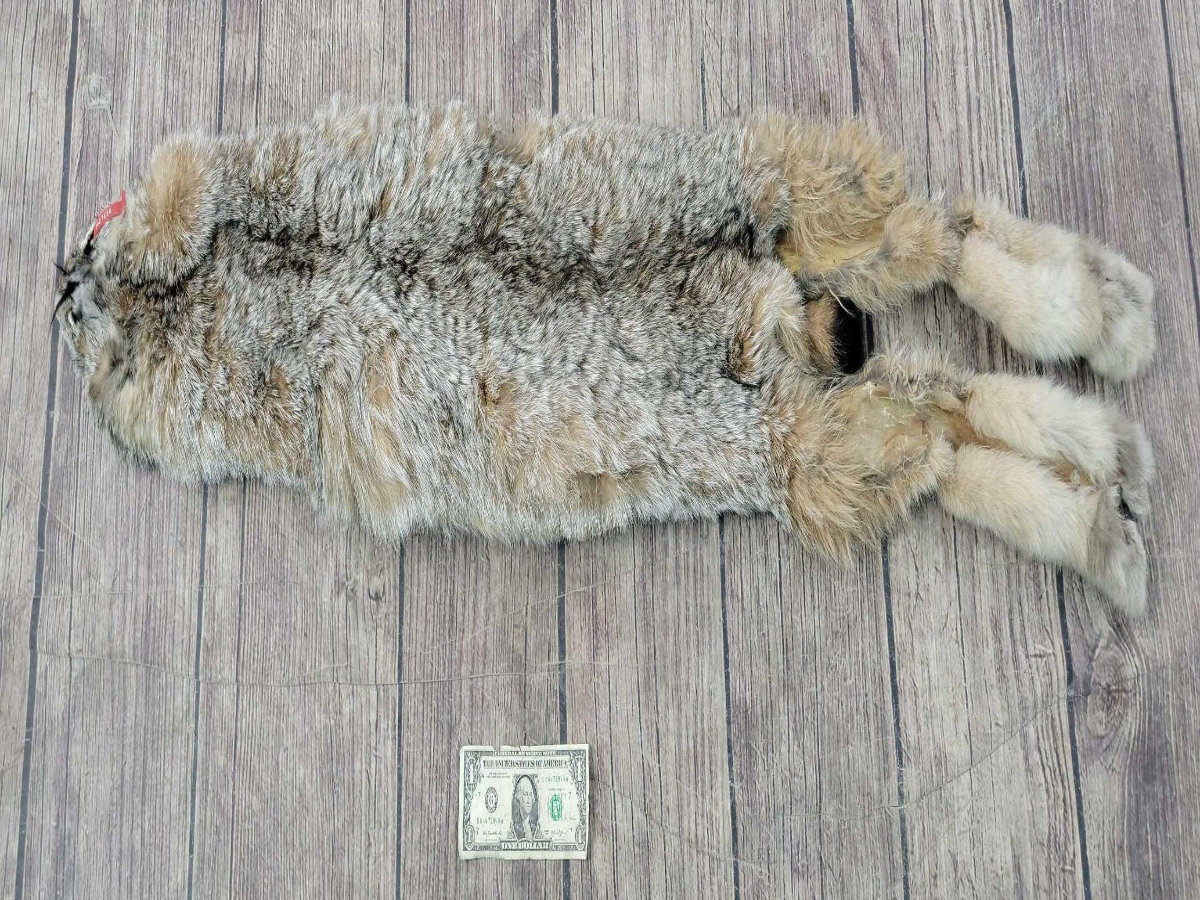 Image for 2021 Fur Rondy Online Fur Auction Week 2