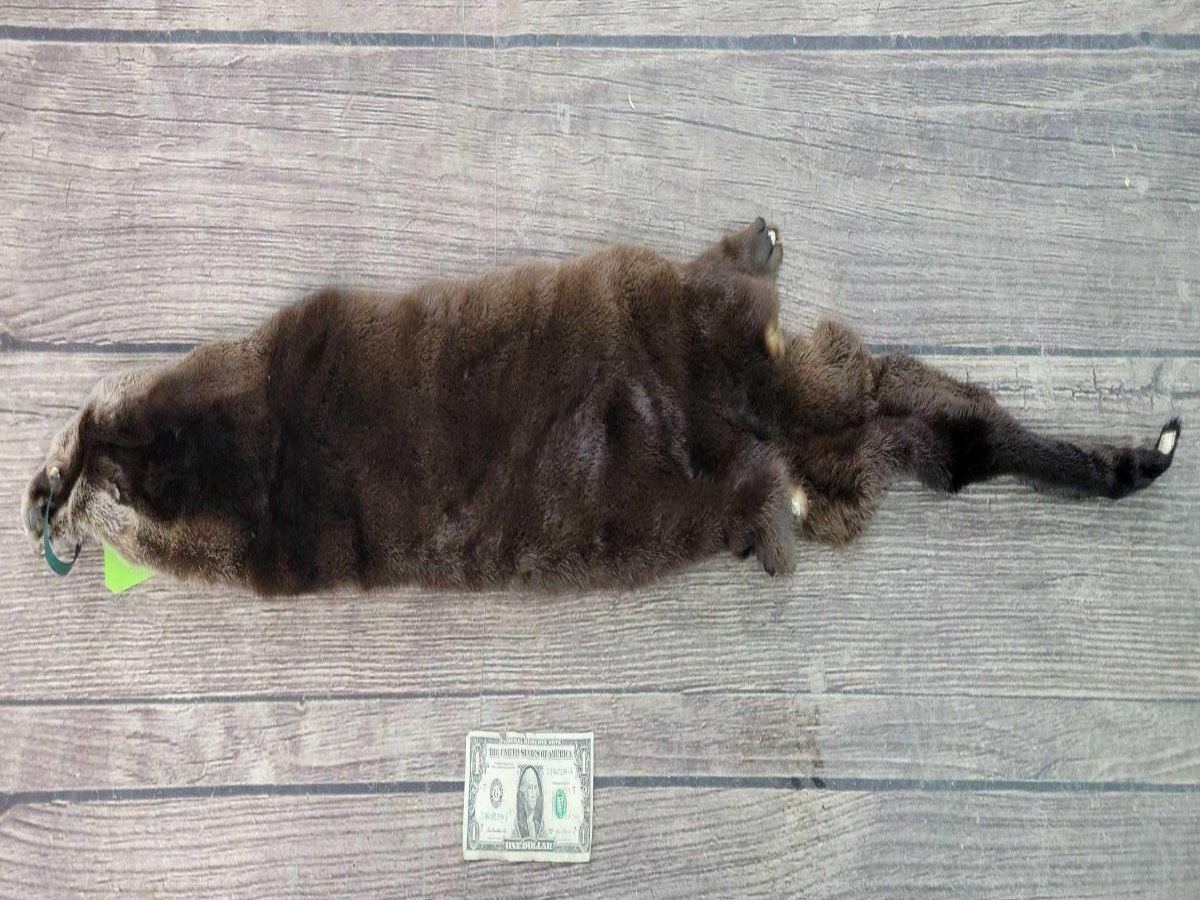 Image for 2021 Fur Rondy Online Fur Auction Week 2