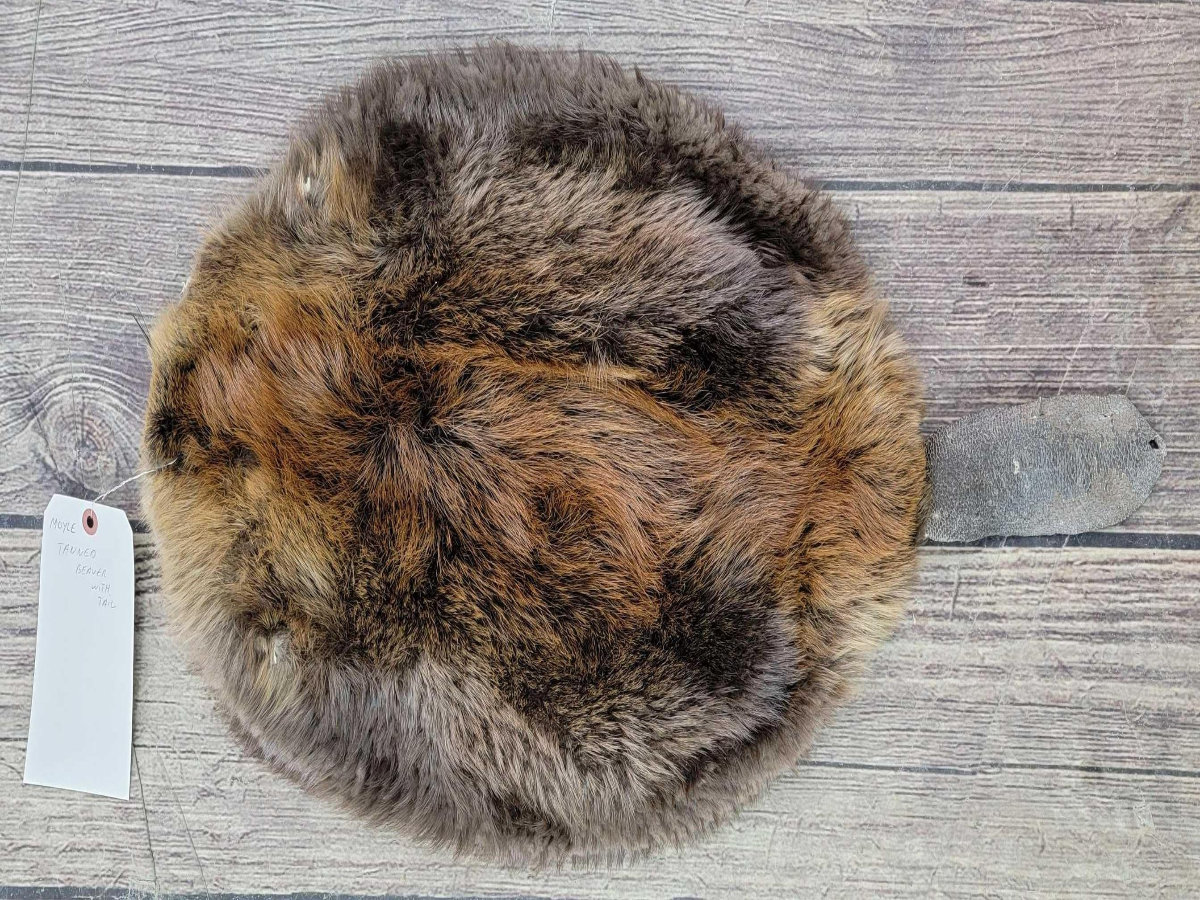 Image for 2021 Fur Rondy Online Fur Auction Week 2