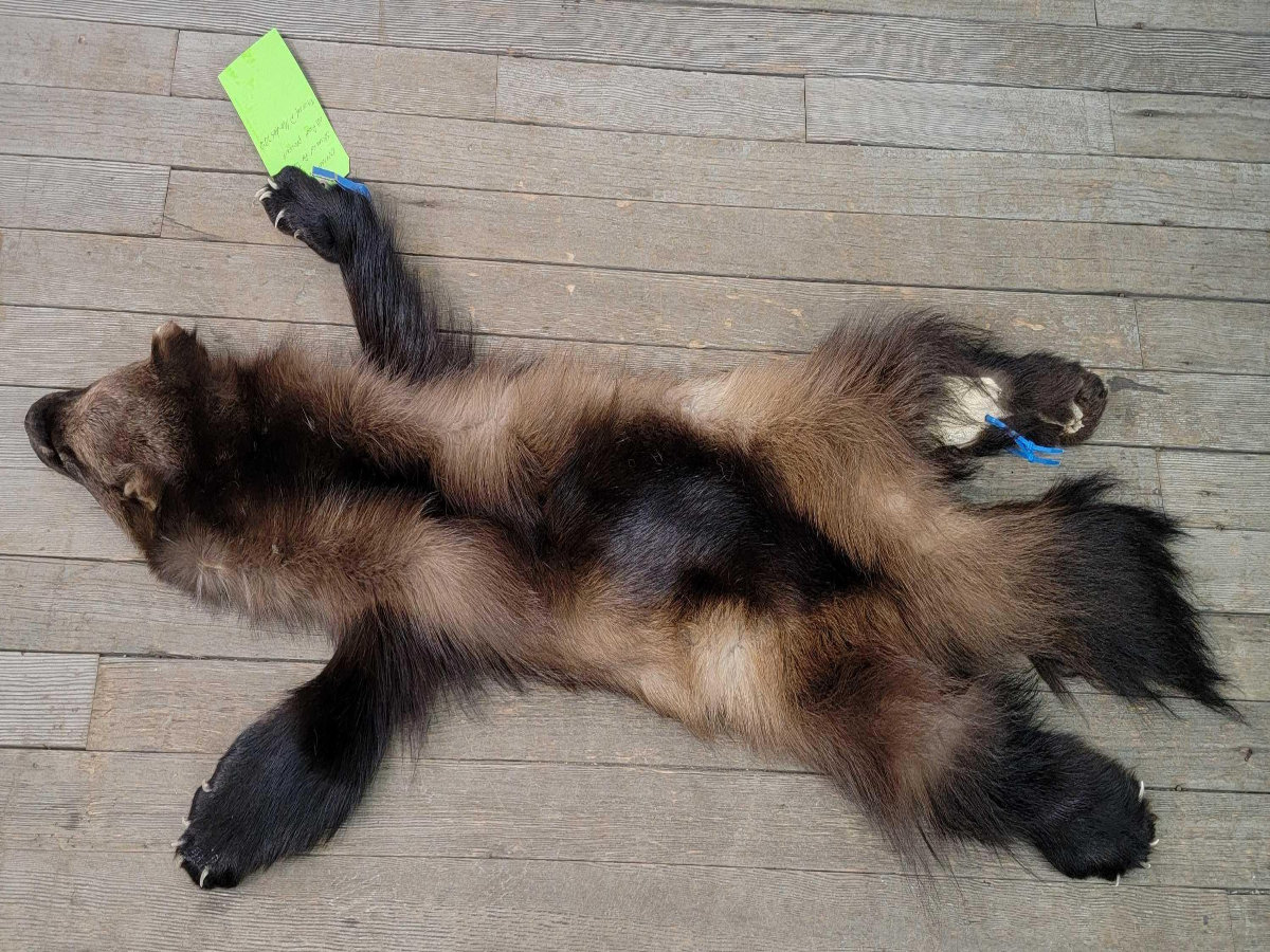 Image for 2021 Fur Rondy Online Fur Auction Week 2