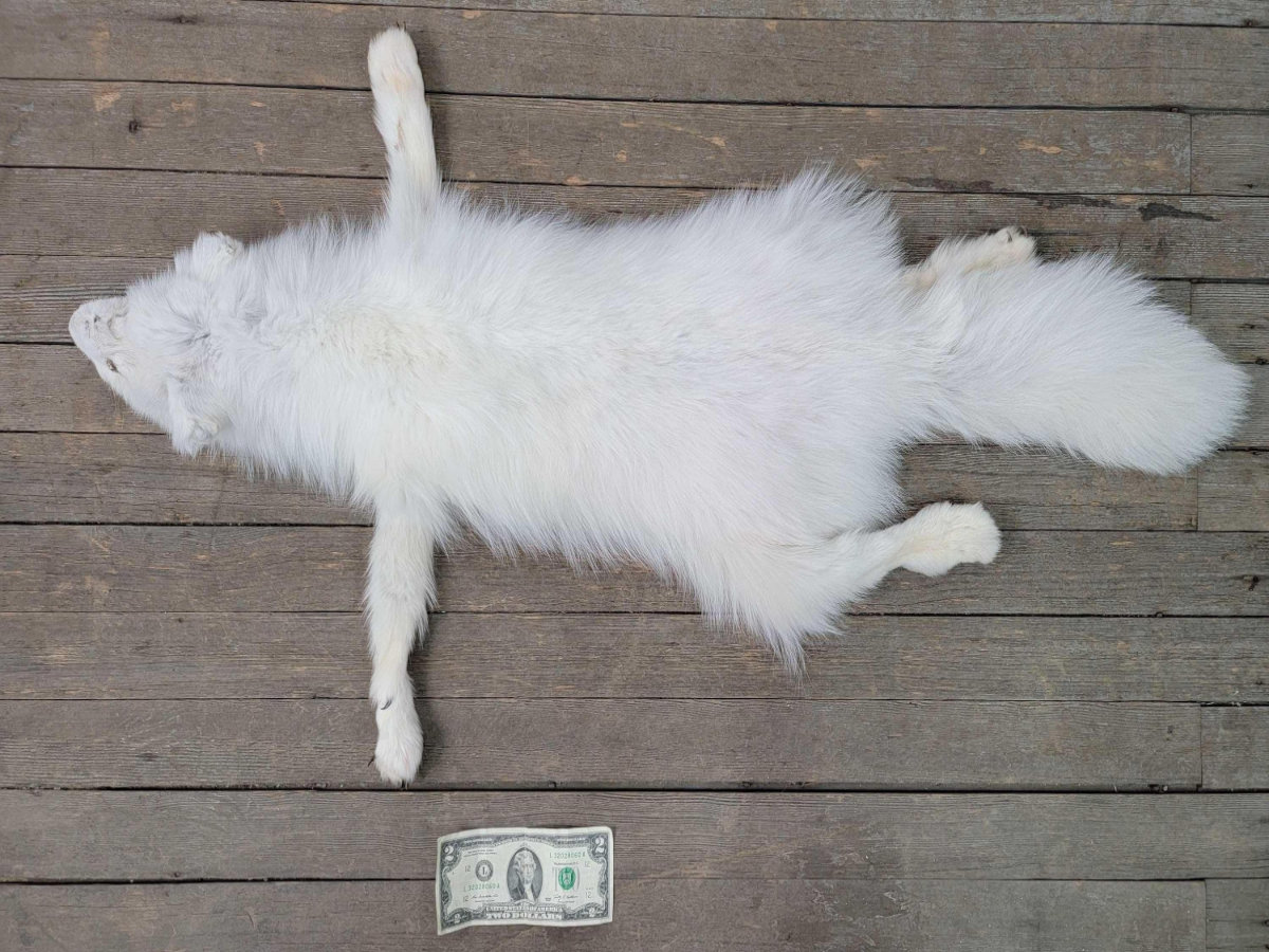 Image for 2021 Fur Rondy Online Fur Auction Week 2