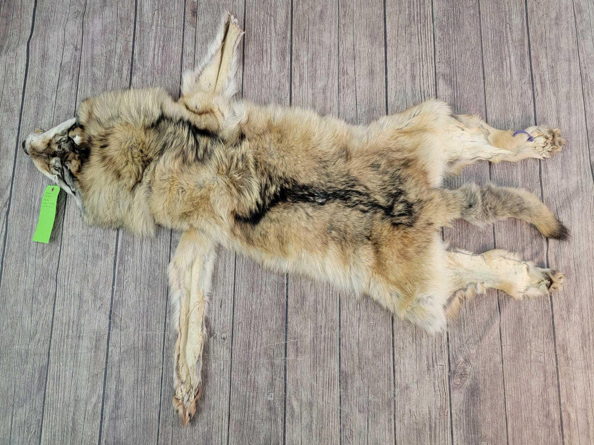 Image for 2021 Fur Rondy Online Fur Auction Week 2