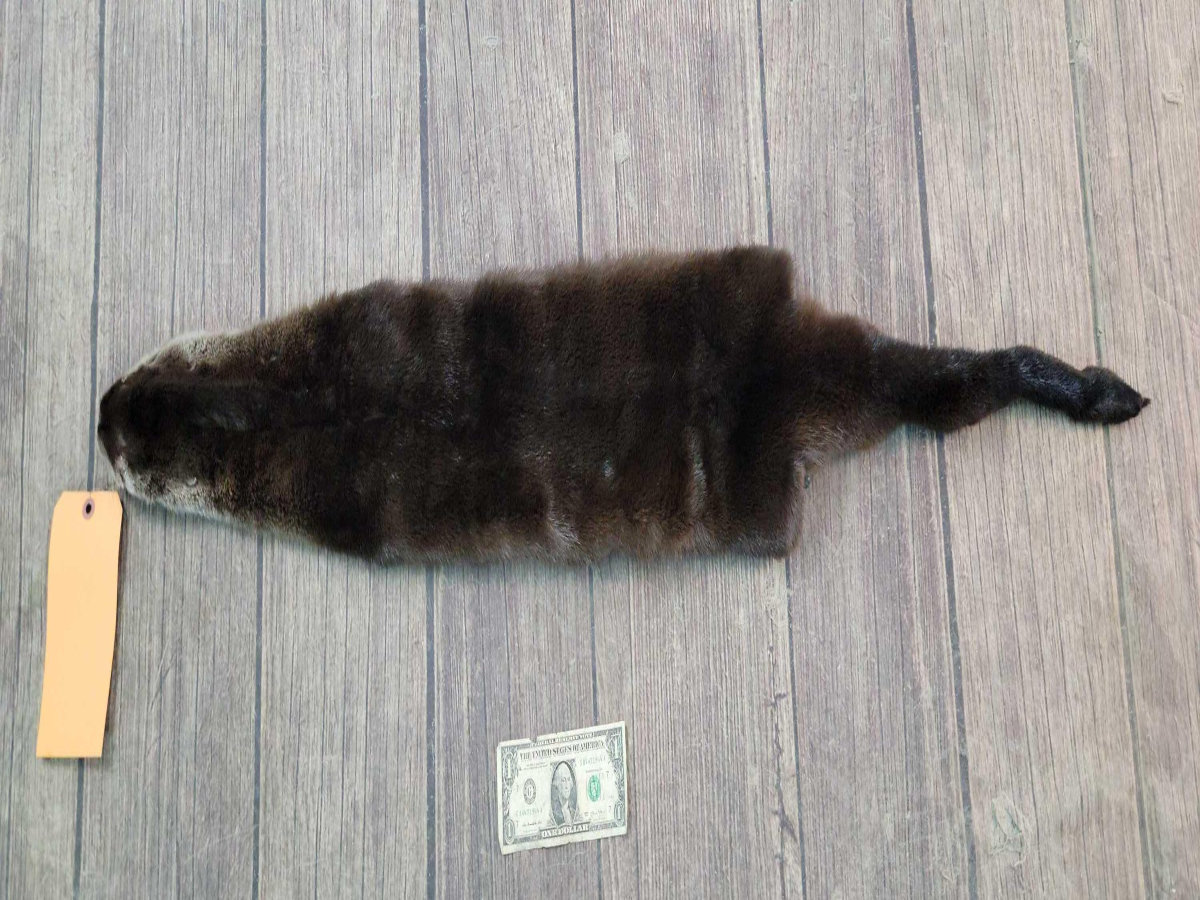 Image for 2021 Fur Rondy Online Fur Auction Week 2