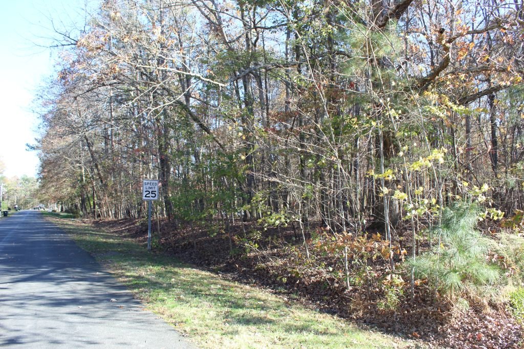 Image for Estate of the Late Mrs. Virginia Carden