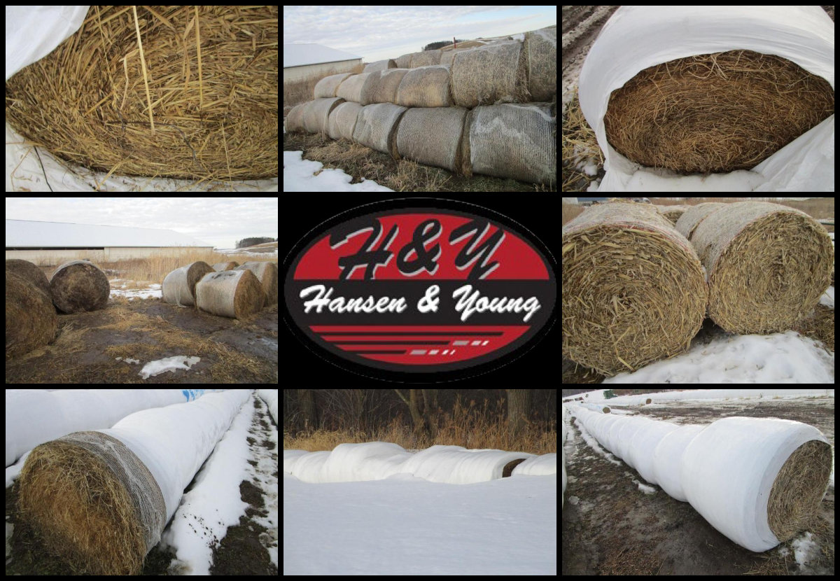 Hay Auction Various Locations