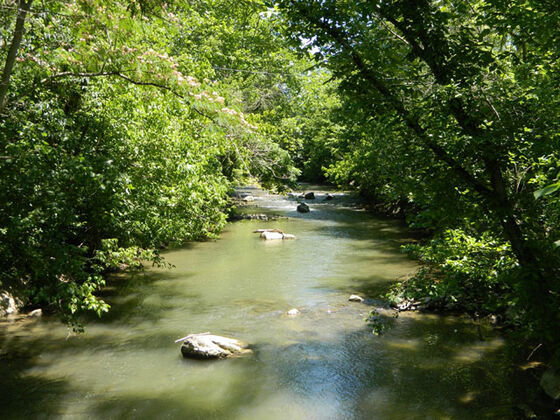 Image for SATURDAY, MARCH 20th