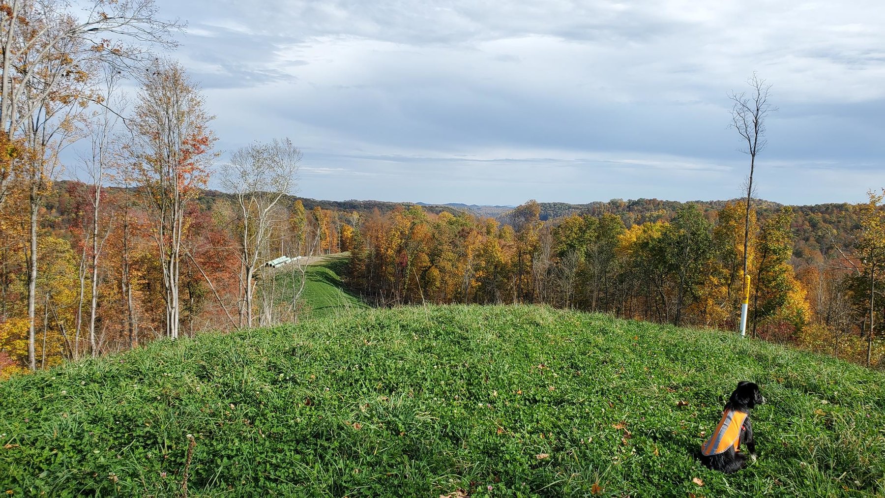 Image for SOLD $242,000 - 110+/- Acre Farm with Well Maintained Home