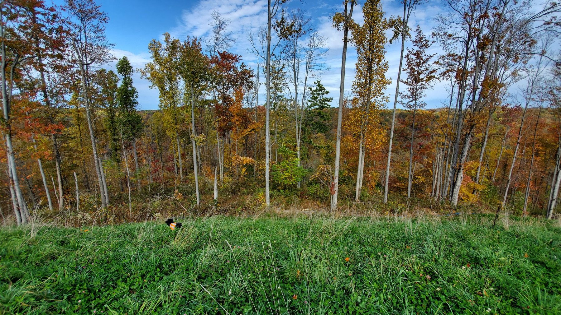 Image for SOLD $242,000 - 110+/- Acre Farm with Well Maintained Home