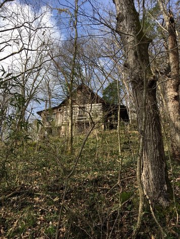 Image for Gasper River Cabin