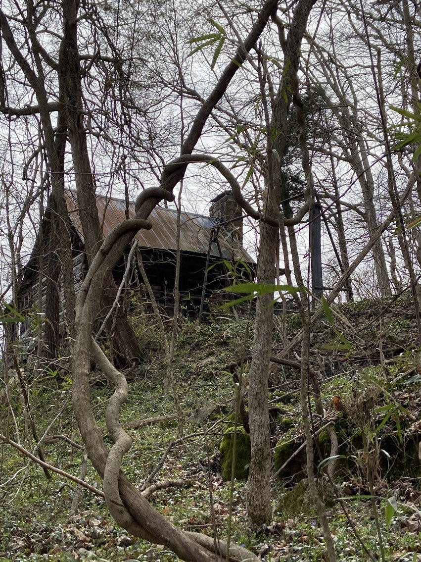 Image for Gasper River Cabin