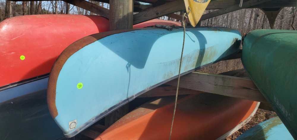 Image for Boy Scout Auction