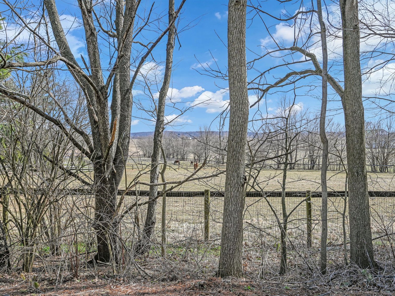 Image for 1335 Cambridge Court - Palmyra, PA