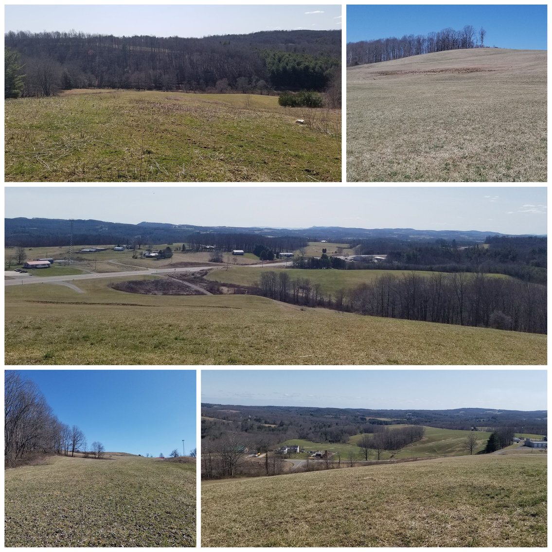 Image for Primtimber Auction