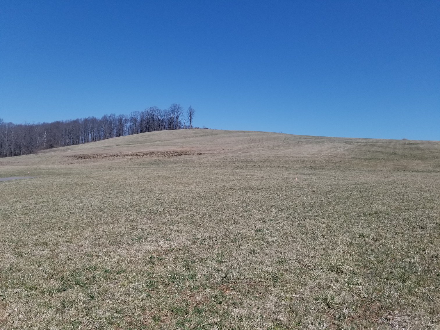 Image for Primtimber Auction