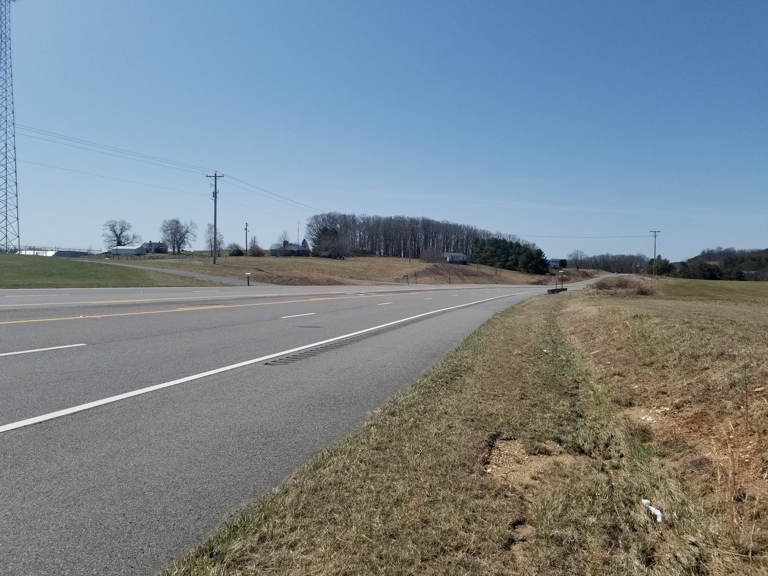 Image for Primtimber Auction