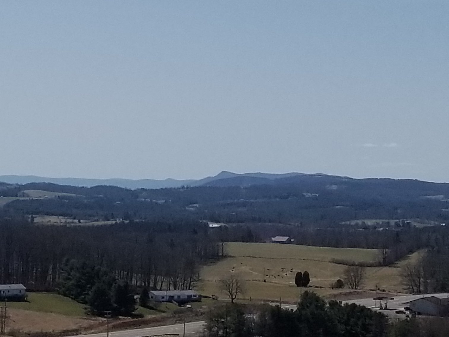 Image for Primtimber Auction