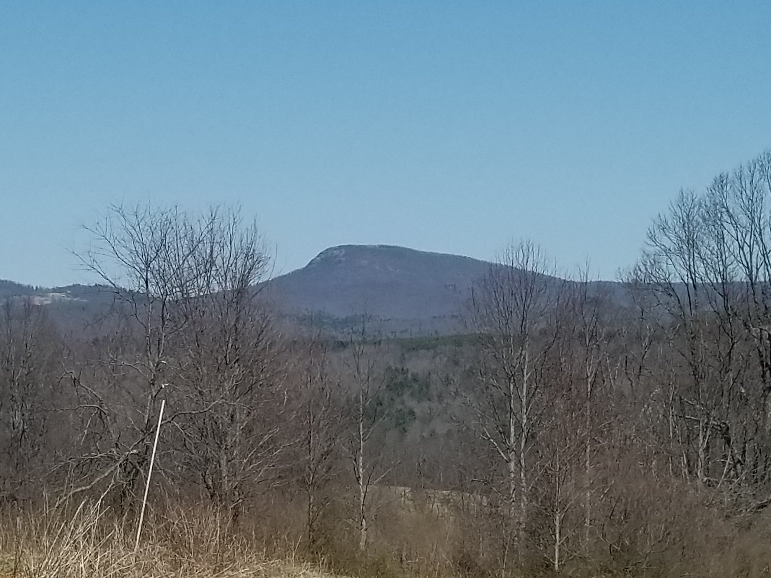 Image for Primtimber Auction