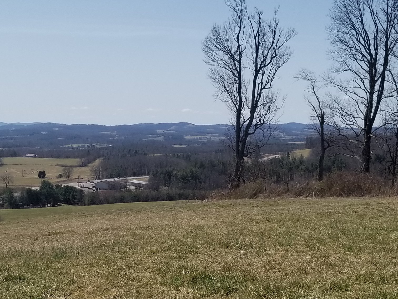 Image for Primtimber Auction