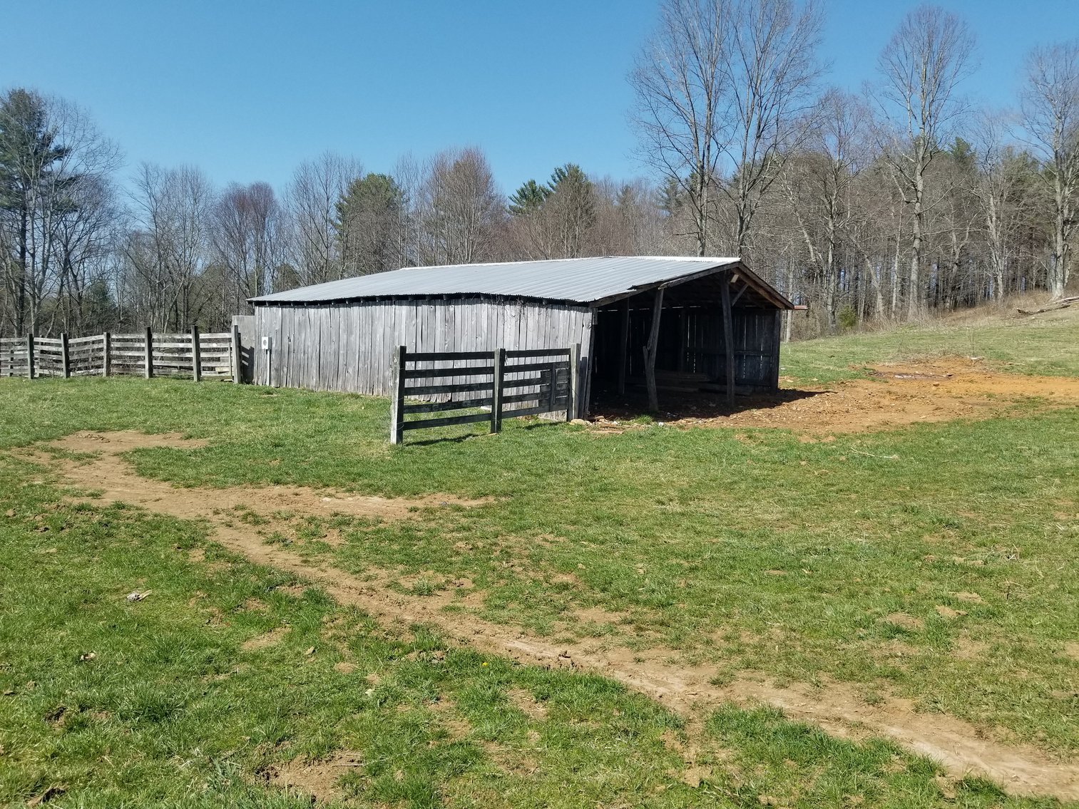 Image for Primtimber Auction