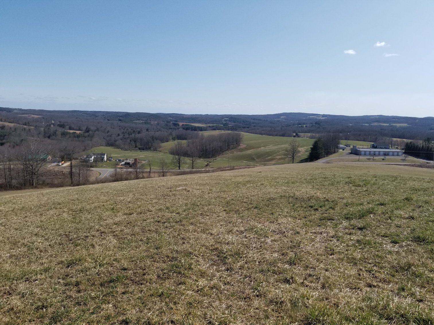 Image for Primtimber Auction