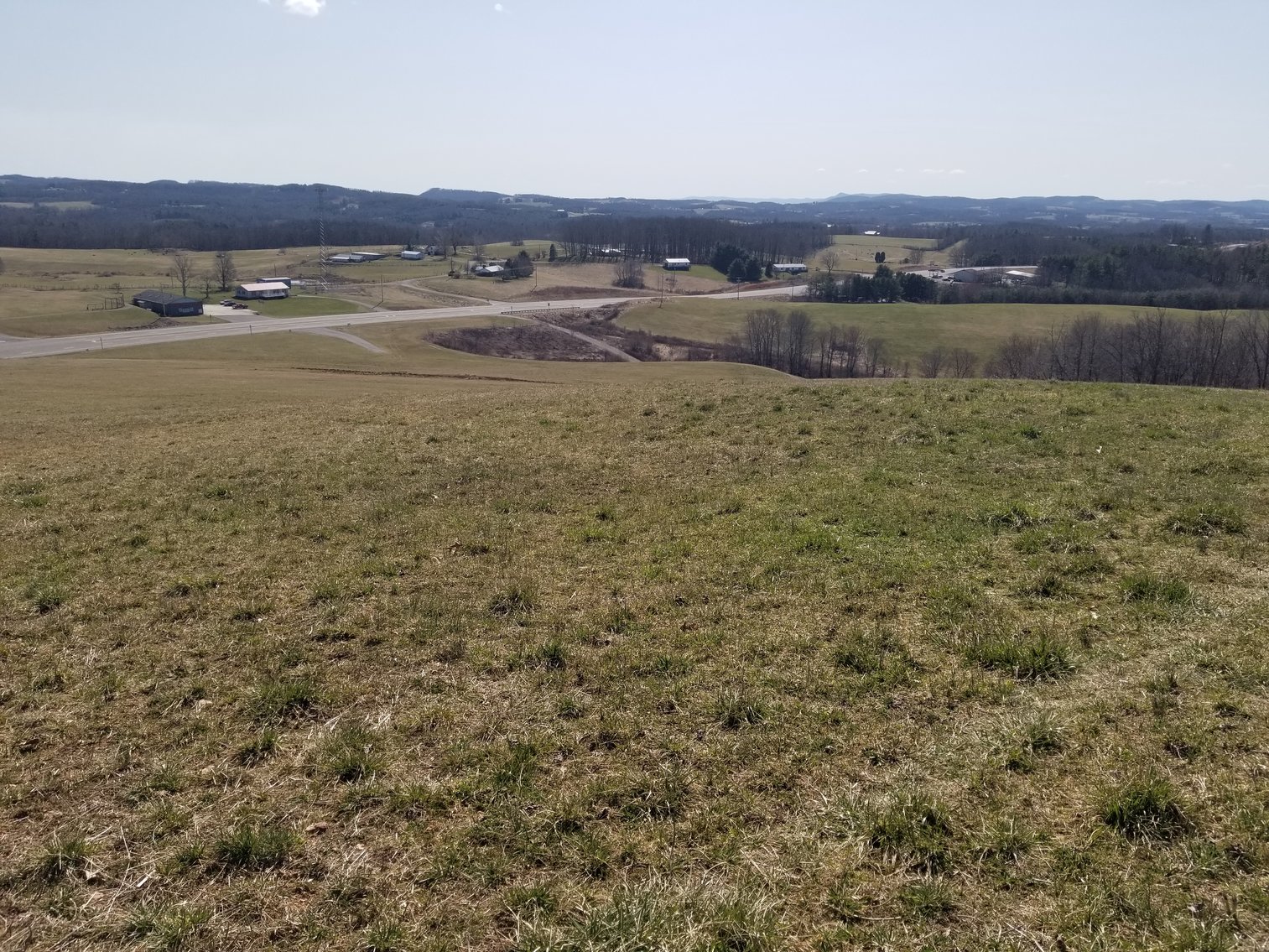 Image for Primtimber Auction