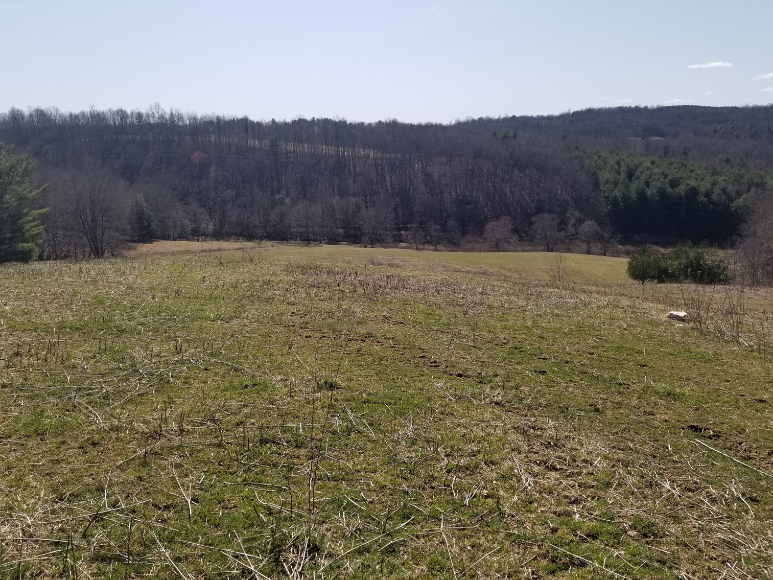 Image for Primtimber Auction