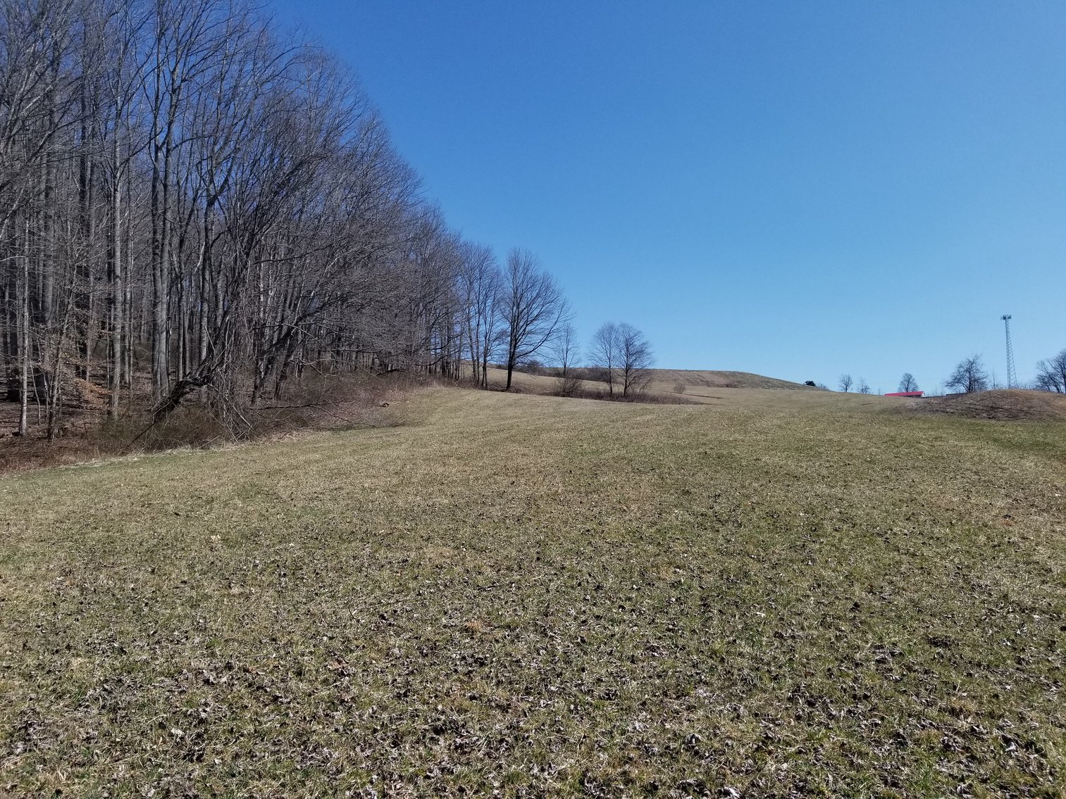 Image for Primtimber Auction